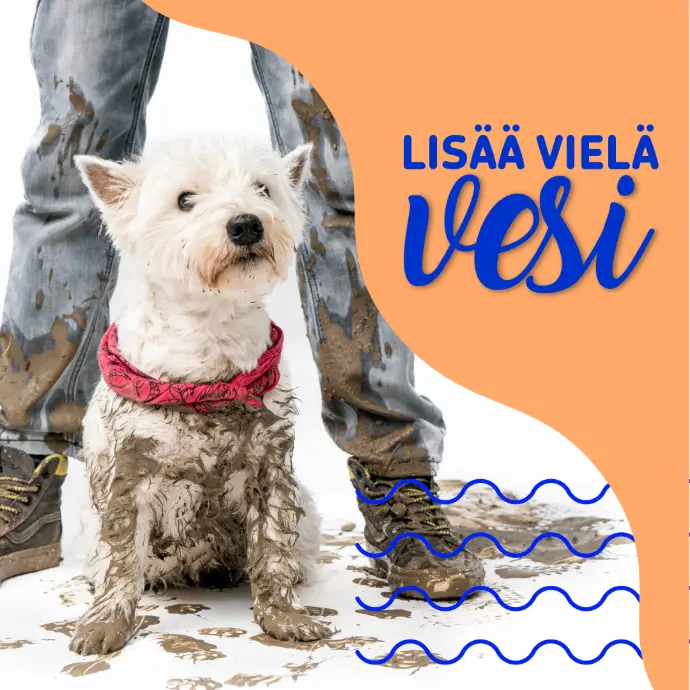 Lisää vielä vesi -kampanja